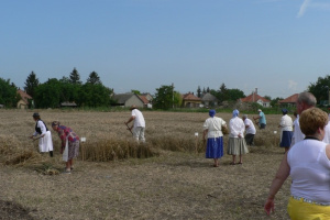 Besenyei aratónap