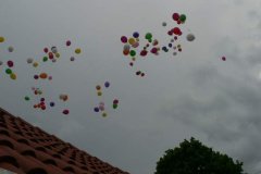 20100608_1125053789_p1060395