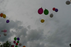 20100608_1878360393_p1060394