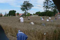 2008.07.05. Aratónap