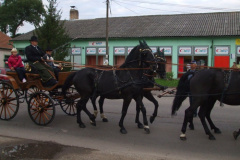 2008092714_20081022_1388765090