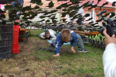 20080927181_20081022_2055208198
