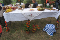 20080927327_20081022_1369000428