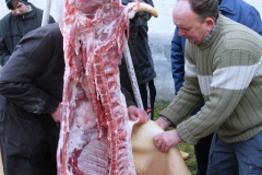 20110112_1386805755_mod03