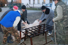 20110112_2043697834_mod01