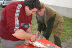 20110112_1516006997_mod42