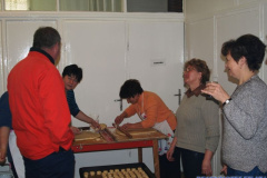 20110112_1937599237_mod50