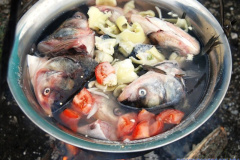 20110112_2076256201_mod38