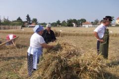 20120710_1090247423_jatszoter-053201