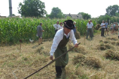 20120710_1105514727_dscf2302201