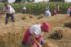 20120710_1171527821_jatszoter-038201