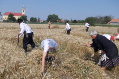 20120710_1232025782_jatszoter-028201