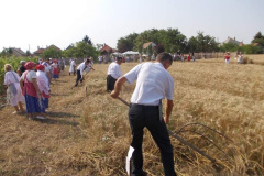 20120710_1293047288_jatszoter-023201