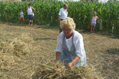 20120710_1332837659_dscf2303201