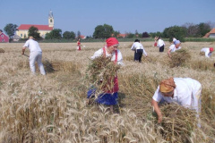 20120710_1359753887_jatszoter-029201