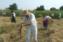 20120710_1369370925_dscf2298201