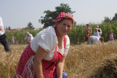 20120710_1402911691_jatszoter-039201