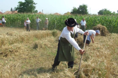 20120710_1428099721_dscf2297201