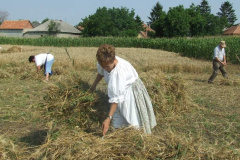 20120710_1487742968_dscf2304201