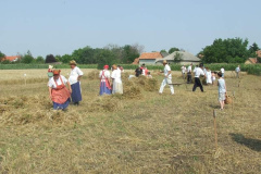 20120710_1532616772_dscf2310201