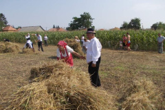 20120710_1538781675_jatszoter-055201