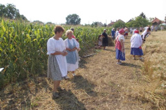 20120710_1565404478_jatszoter-024201