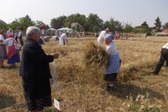 20120710_1624073125_jatszoter-027201