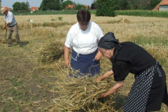 20120710_1627116563_dscf2307201