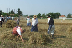 20120710_1668096431_dscf2308201