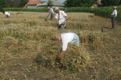 20120710_1751263585_dscf2290201