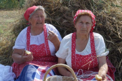 20120710_1760351268_jatszoter-060201
