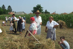20120710_1769488694_dscf2322201