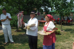 20120710_1769897617_dscf2341201