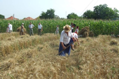 20120710_1775145039_dscf2299201