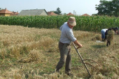 20120710_1810049194_dscf2295201