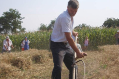 20120710_1863000362_jatszoter-040201