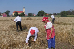 20120710_1946305926_jatszoter-026201