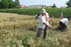 20120710_1946848683_dscf2294201