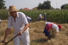 20120710_2000692757_jatszoter-045201