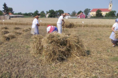 20120710_2040341039_jatszoter-052201