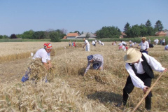 20120710_2087227044_jatszoter-032201