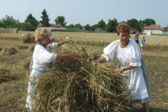 20120710_2091252182_dscf2305201