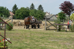 20100712_1321532270_p1060861