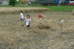 20100712_1404629348_p1060850