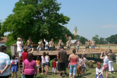 20100712_1478890630_p1060815