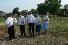 20100712_1531605766_p1060757