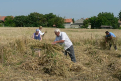 20100712_1980620888_p1060776