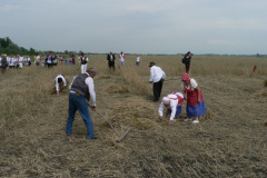 aratonap_sarud4_20090707_1043048279
