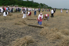 aratonap_sarud5_20090707_1543162494