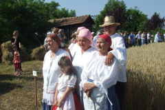 20110722_1118393935_aratas-2011-07-09-fazekasne-051
